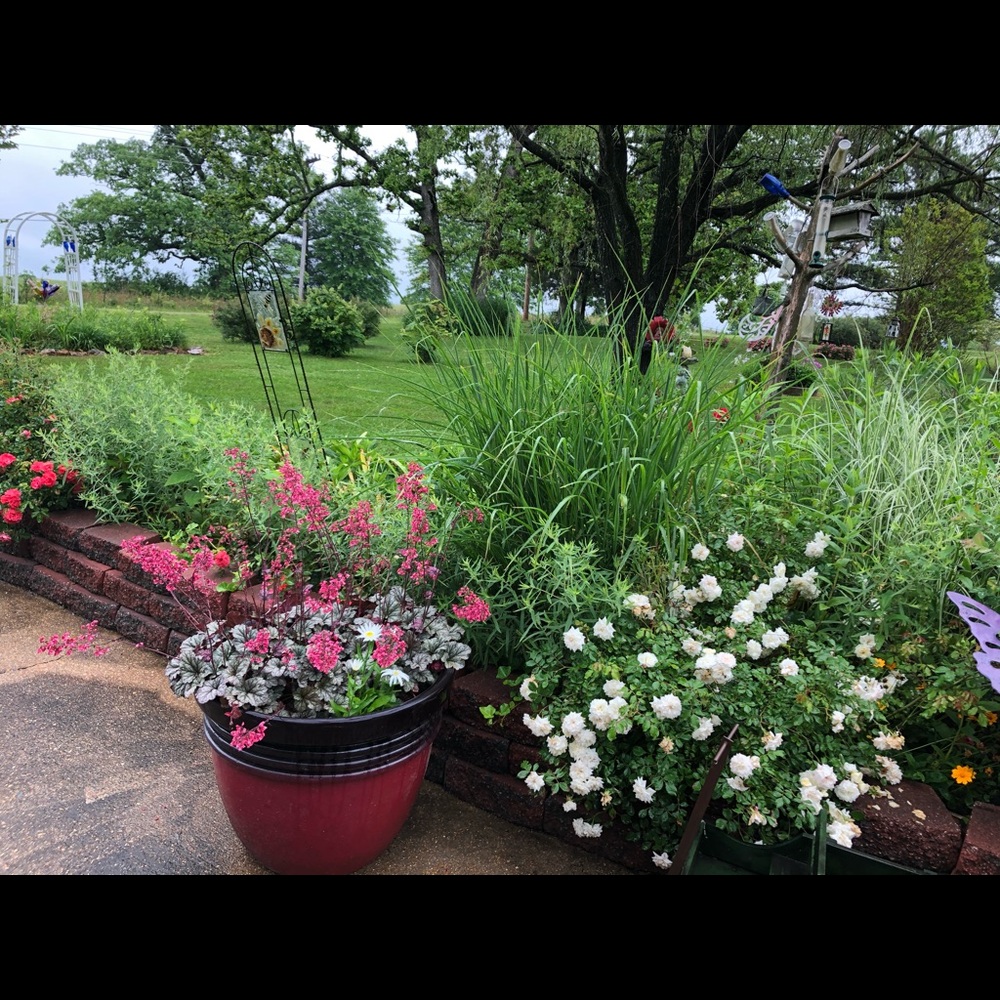 Meet your Posher, Teresa